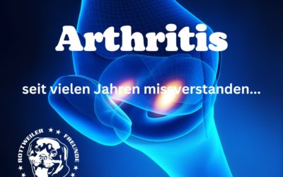 Arthritis beim Hund