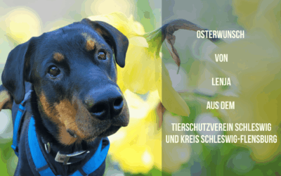 Lenja – Schüchternes Herz sucht sicheren Rückzugsort